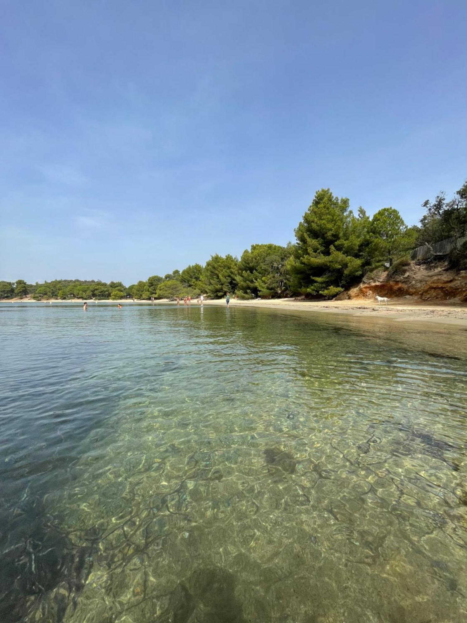 Appartement Plage Piscine Et Tennis Inclus La Londe-les-Maures Exterior photo