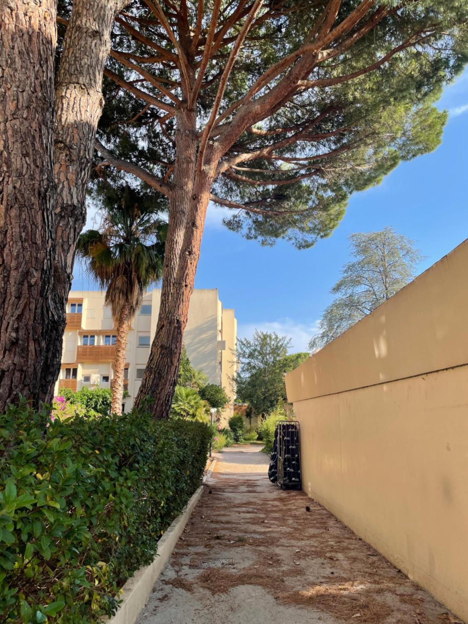 Appartement Plage Piscine Et Tennis Inclus La Londe-les-Maures Exterior photo